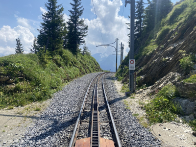 Zahnradbahn-Steile-Bergbahn-auf-die-Schynige-Platte