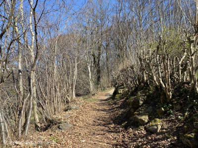 8_Wanderung-im-Glarnerland-von-Filzbach-nach-Muehlehorn