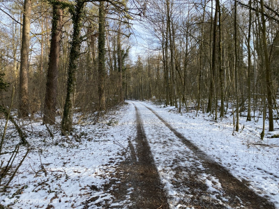 Wanderung-in-Weinfelden-St-Gallen