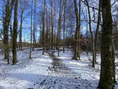 Wanderung-Weinfelden-Ostschweiz