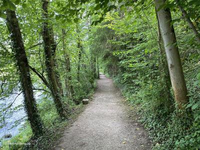 Wettingen-Aargau-Wanderung