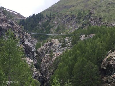 Hängebrücke-Furi-von-untern