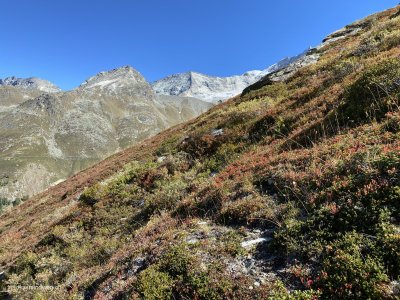 Bergwandern_Herbstwiesen_Berghaenge_Bergwiesen_Alpenwiesen