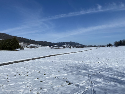 verschneite-Felder-und-Wiesen-Wanderung