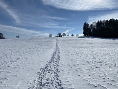 Winterwanderung-Winterrundwanderung-Ostschweiz-Zuzwil