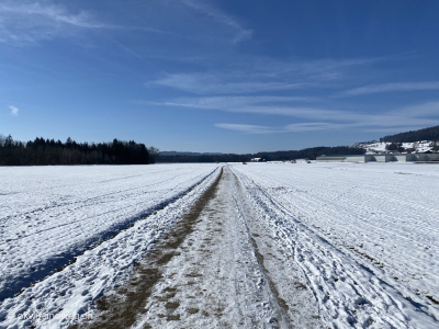 Henau-Zuzwil-Zueberwangen_Wandern