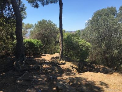 oberhalb-Park-Güell-Barcelona
