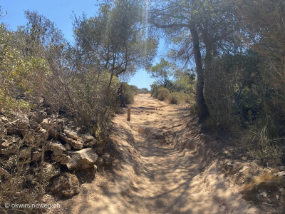 Straende-Menorca-Badebuchten-Menorcas-auf-dem-Cami-de-Cavall-Tag7