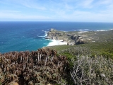 Cape of Good Hope 3