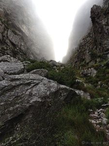 Table Mountain 3