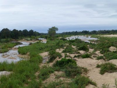 Krüger-Nationalpark-Fluss