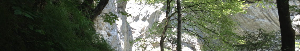 Aareschlucht