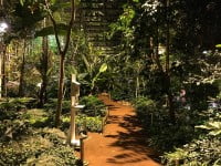 Pflanzen im Topenhaus Wolhuse