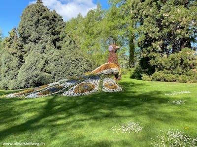 Insel Mainau, Blütenparadies Bodensee