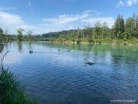 Rundwaderung_Wohlensee_Aare_Saane_Stausee_Niederried_Mühleberg