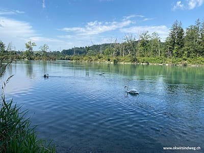 Wandern entlang der Aare und Saane bei Mühleberg 