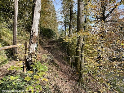 Steffisburg, Flusswanderung Zulg