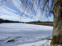 Wandern-Weinfelden-Ostschweiz_400-300