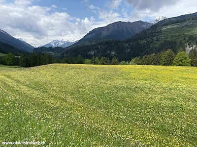 Wanderung Engadin Scuol