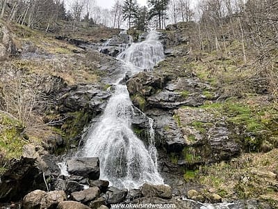 Rundwanderung Todtnauerberg - Todtnauer Wasserfallrunde